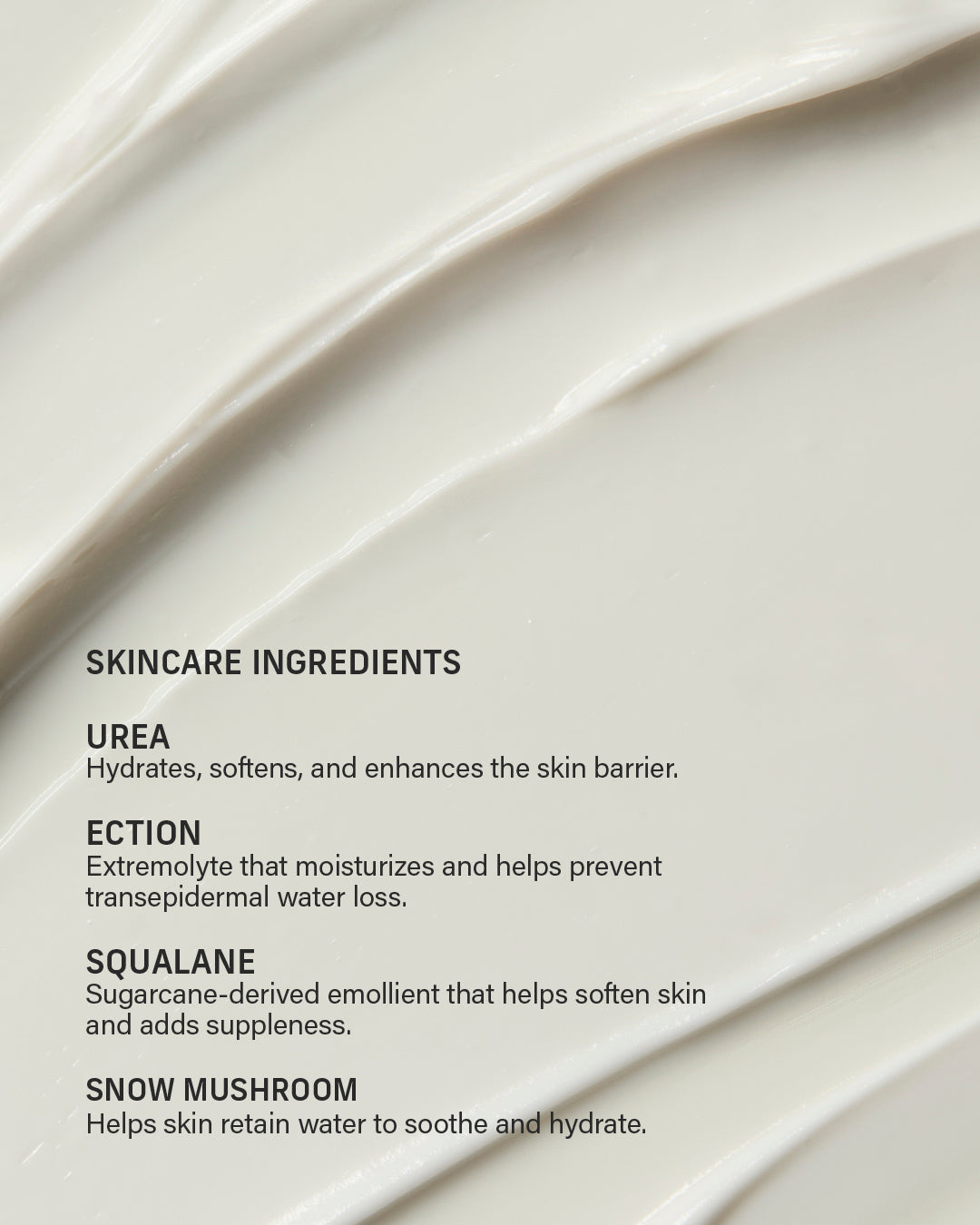 Bergamot Bond - Urea Hand Cream